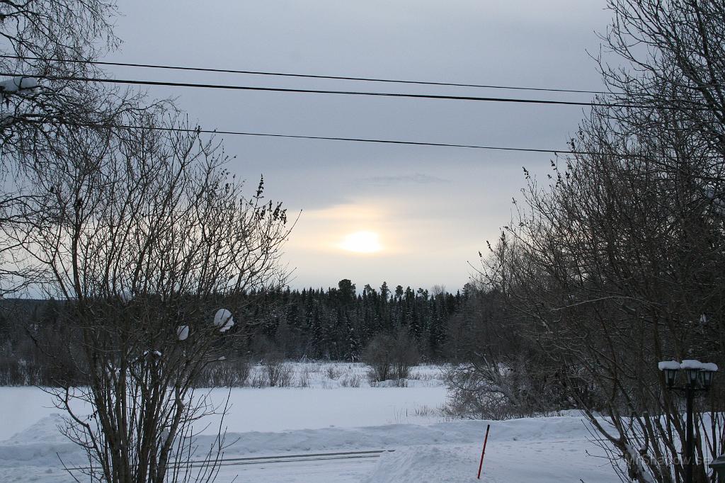 IMG_1503.JPG - 2011-01-08  Solen försöker lysa igenom molnen, men orkar inte riktigt. Nästan -20 så det kanske är orsak ??