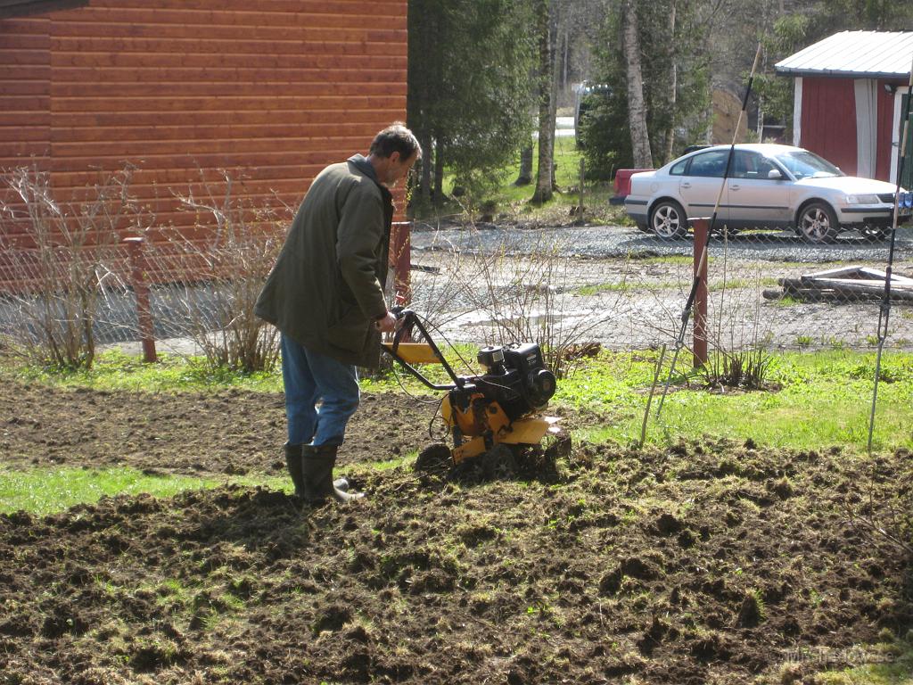 IX70_1050.JPG - Göran frågade tidigare om en jordfräs kunde vara till någon nytta, så han tog med den och hjälpte oss att fräsa upp ett trädgårdsland, samt en del av "moss"mattan.