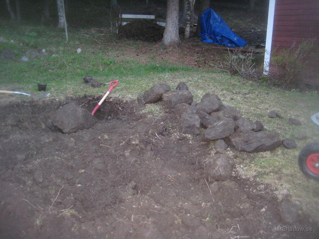 IX70_1057.JPG - Göran kommenterade sedan han kört jordfräsen i trädgårdslandet, att det nog är en större sten en bit ner i jorden närmast uthuset. Nu var det inte bara en sten...