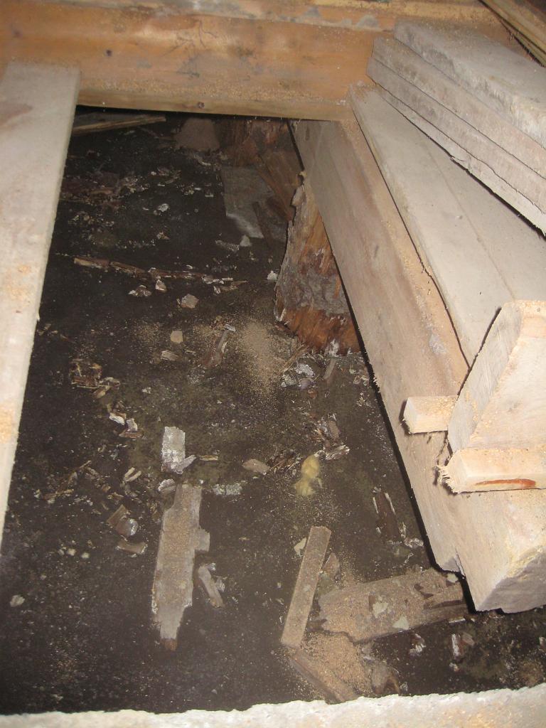 IX70_1692.JPG - "Då går vi ner i vår källare" Ingen katastrof här heller, men undrar varför bärlinan inte hänger på grunden..